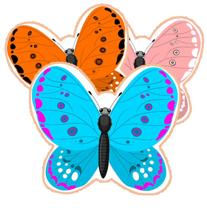 Butterfly Cookies