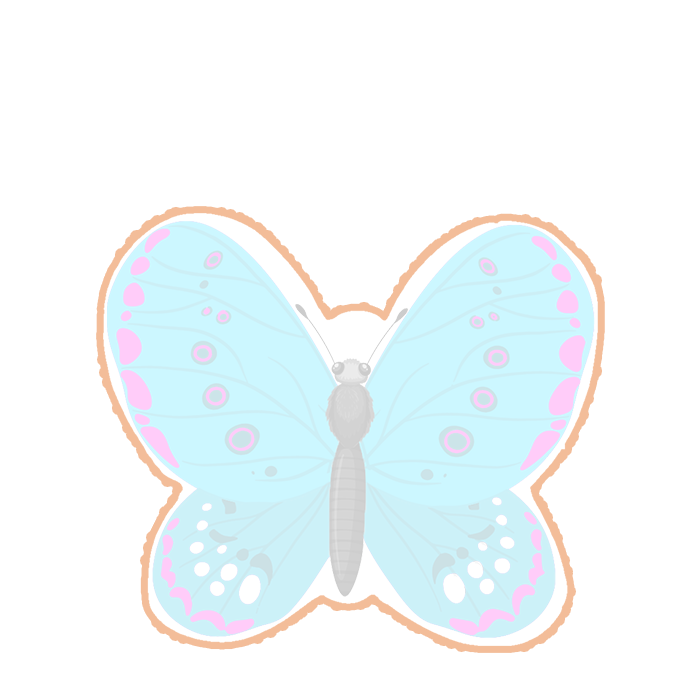 Butterfly Cookies