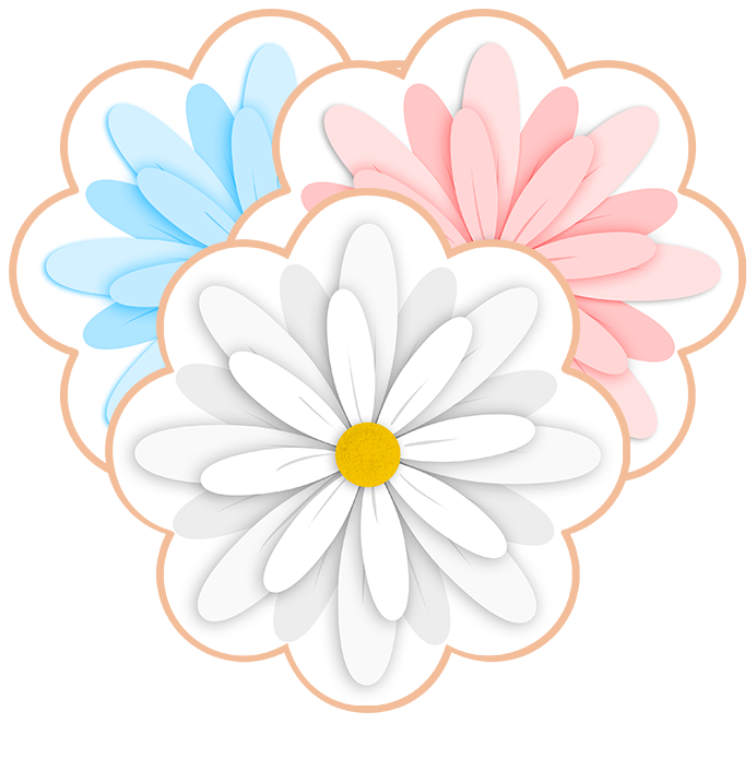 Daisy Cookies