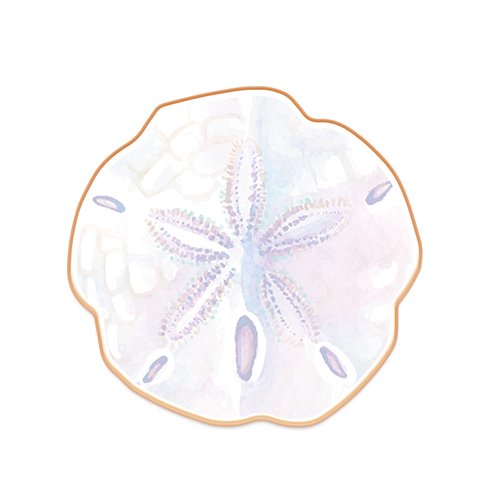 Sand Dollar Logo Cookies