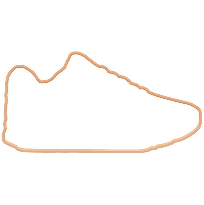 Sneaker Logo Cookies
